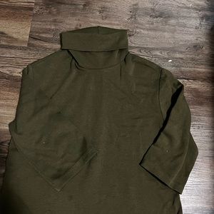 Zara turtle dress